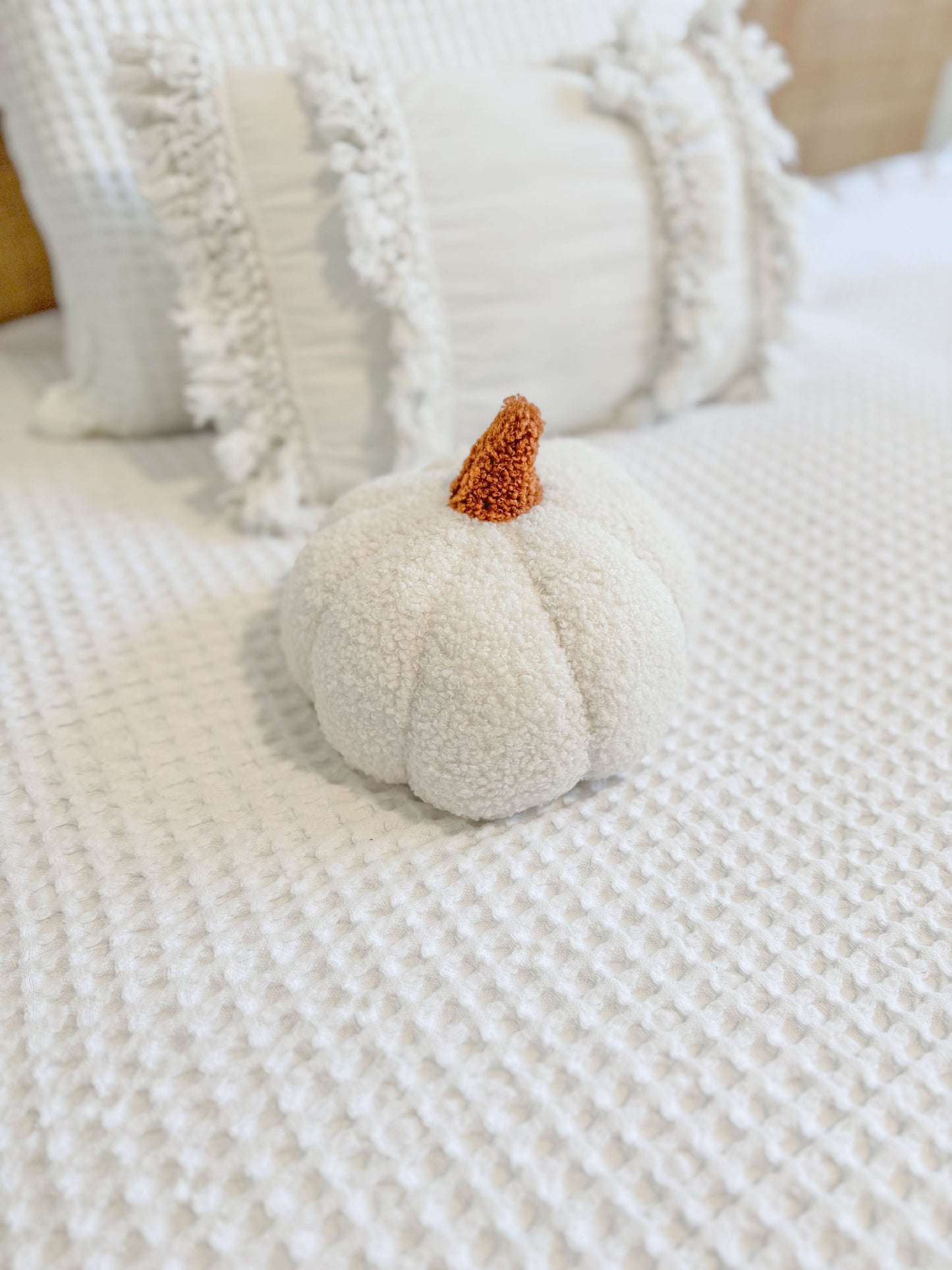 Small Pumpkin Cushion