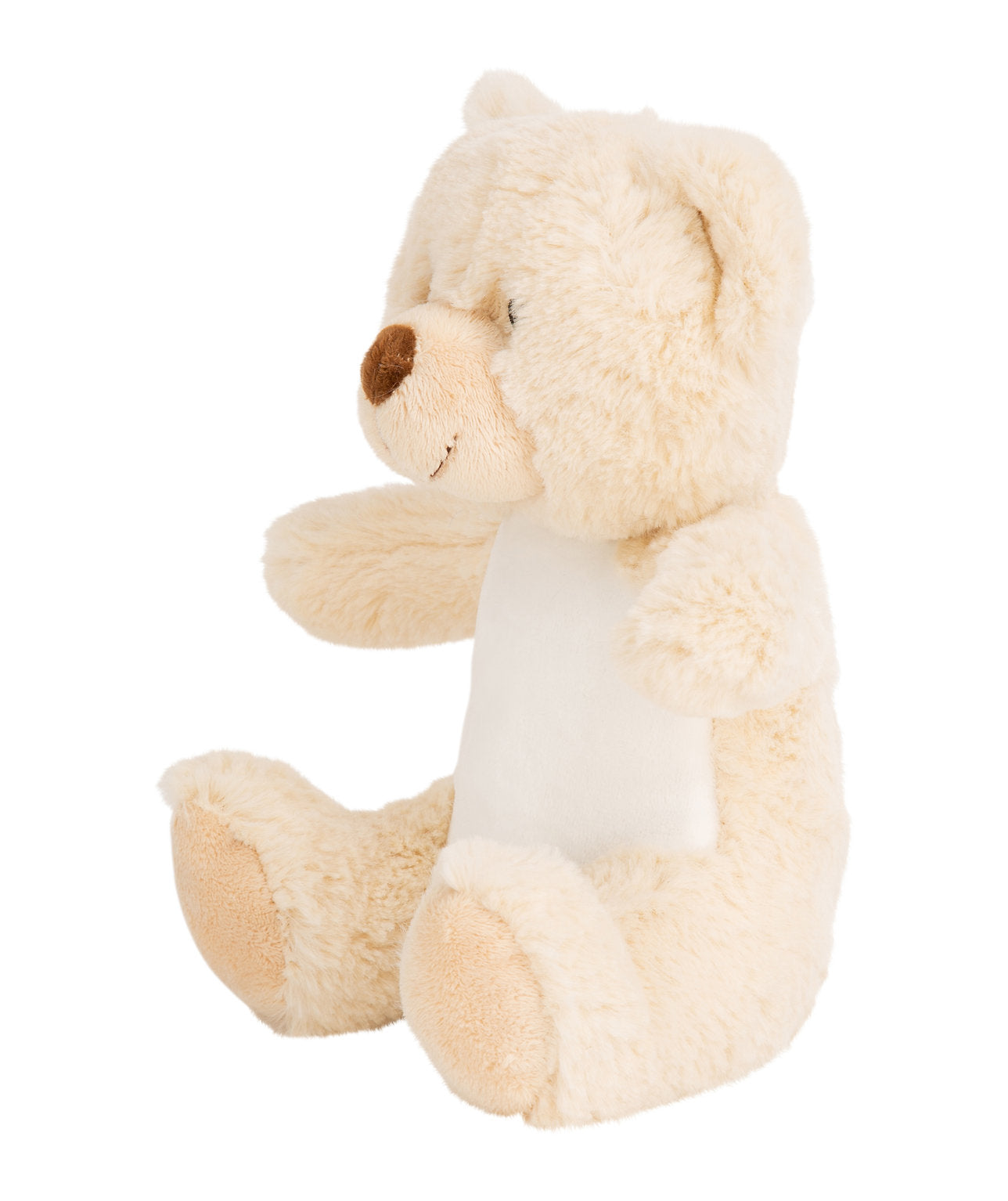 Teddy Bear Plush Toy - Heart