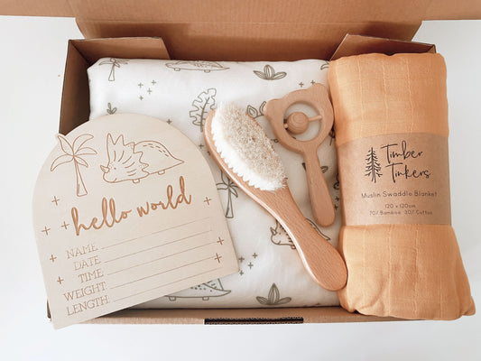 Large Baby Gift Box - Dino