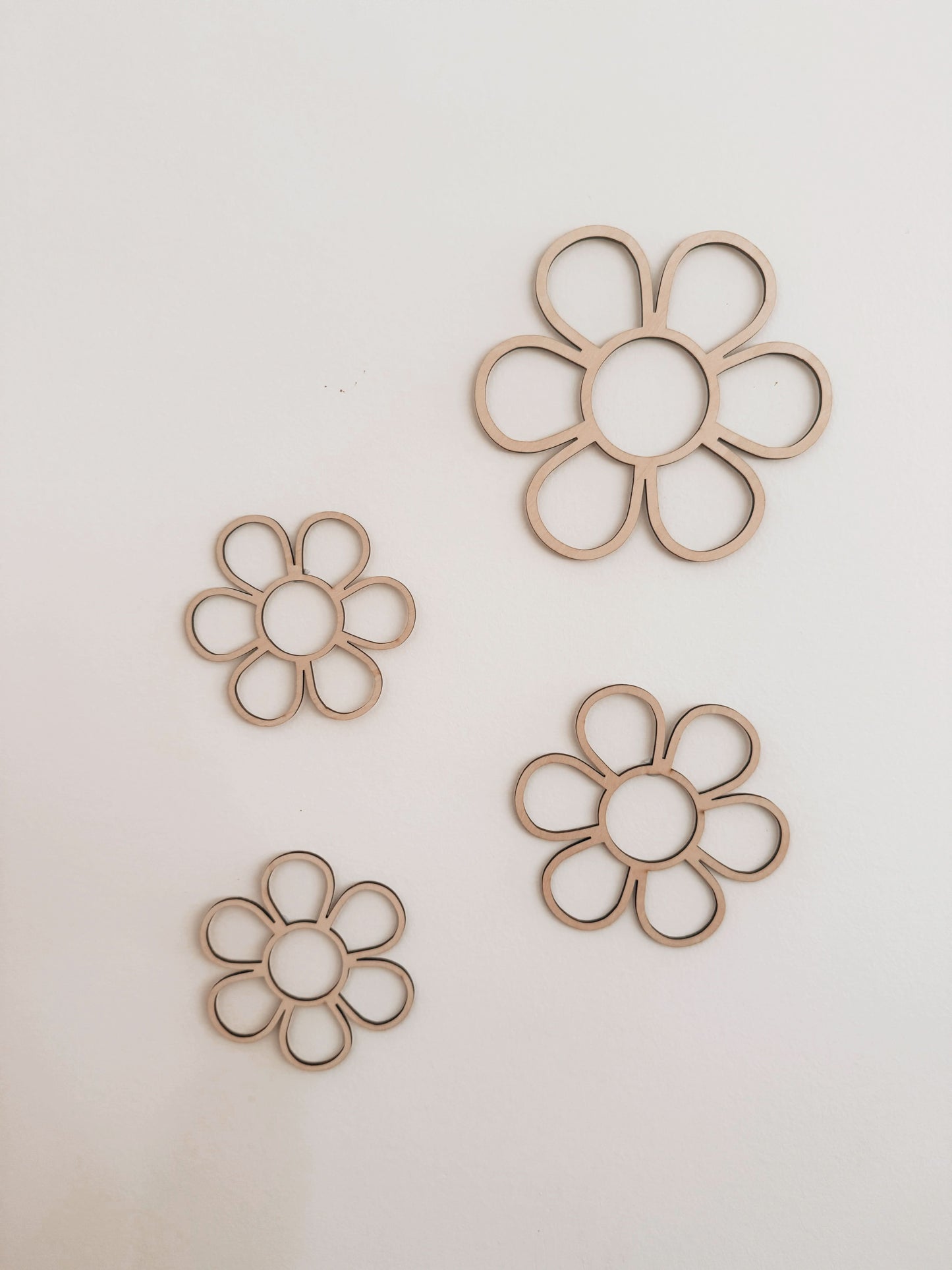 Daisy Pack of 4