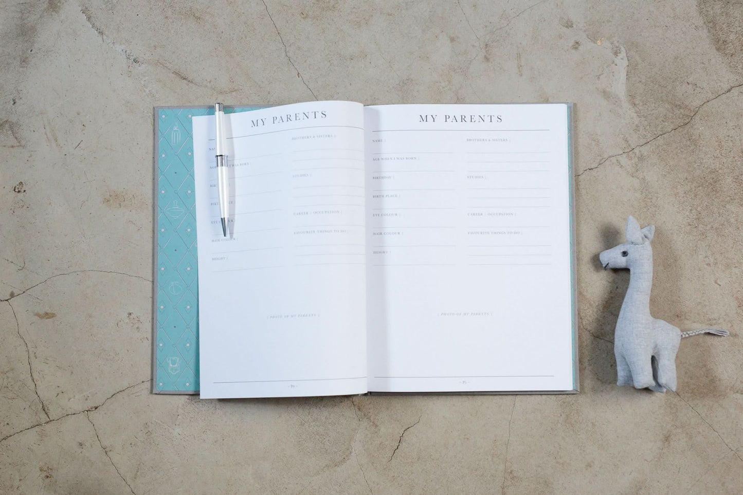 Baby Journal - First Five Years Record Book - (Grey)