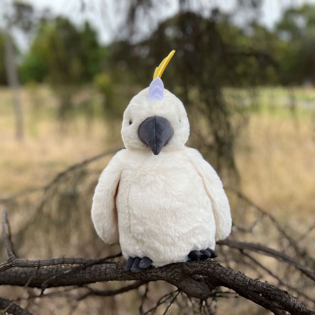 Cockatoo - Timber Tinkers