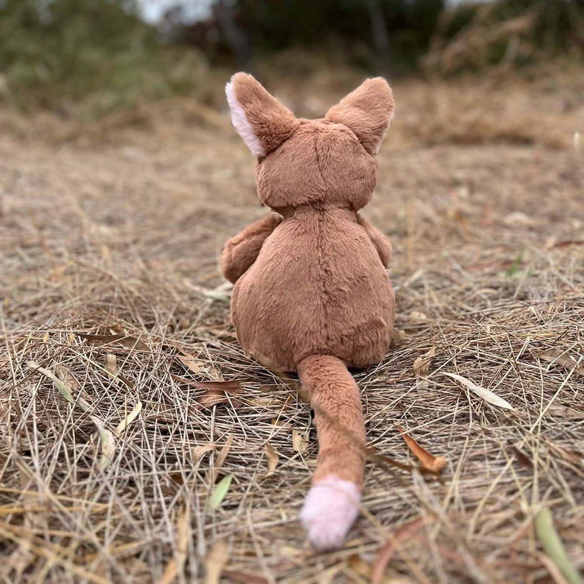 Kangaroo - Timber Tinkers