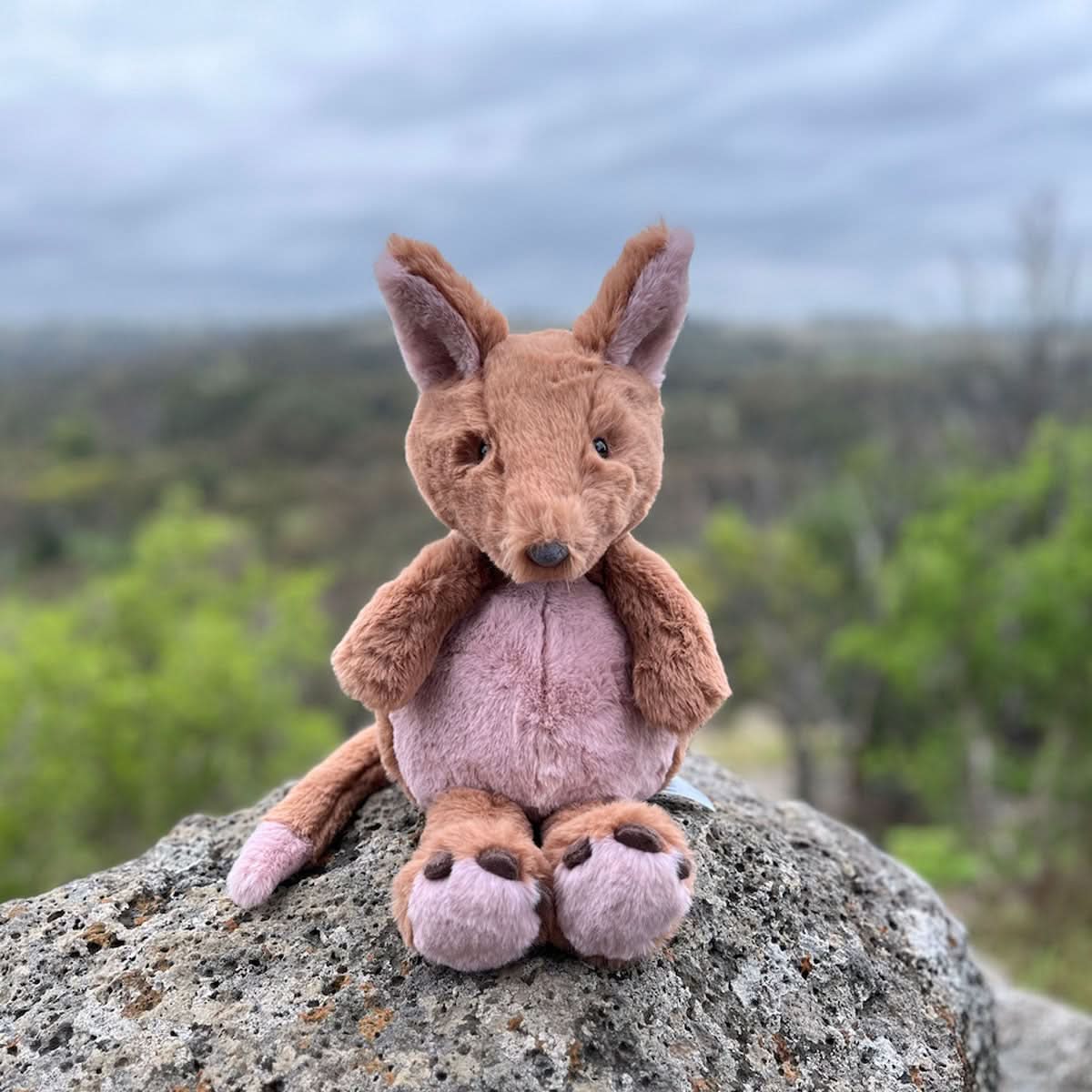 Kangaroo - Timber Tinkers