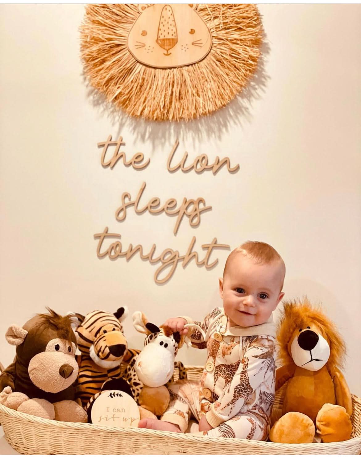 the lion sleeps tonight wall plaque