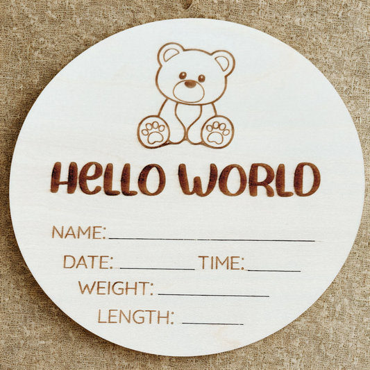 hello world teddy bear