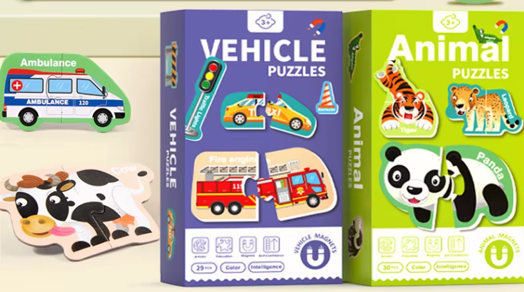 Magnetic Puzzles