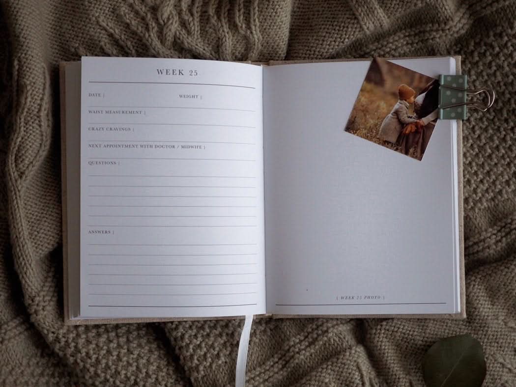 Bump Pregnancy Journal (oatmeal)