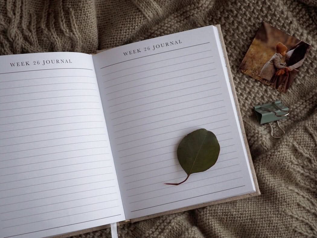 Bump Pregnancy Journal (oatmeal)