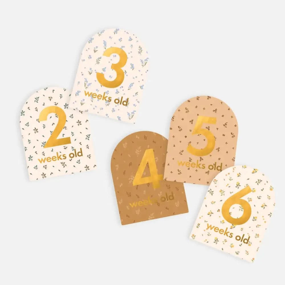 Baby Milestone Cards Broderie - Timber Tinkers