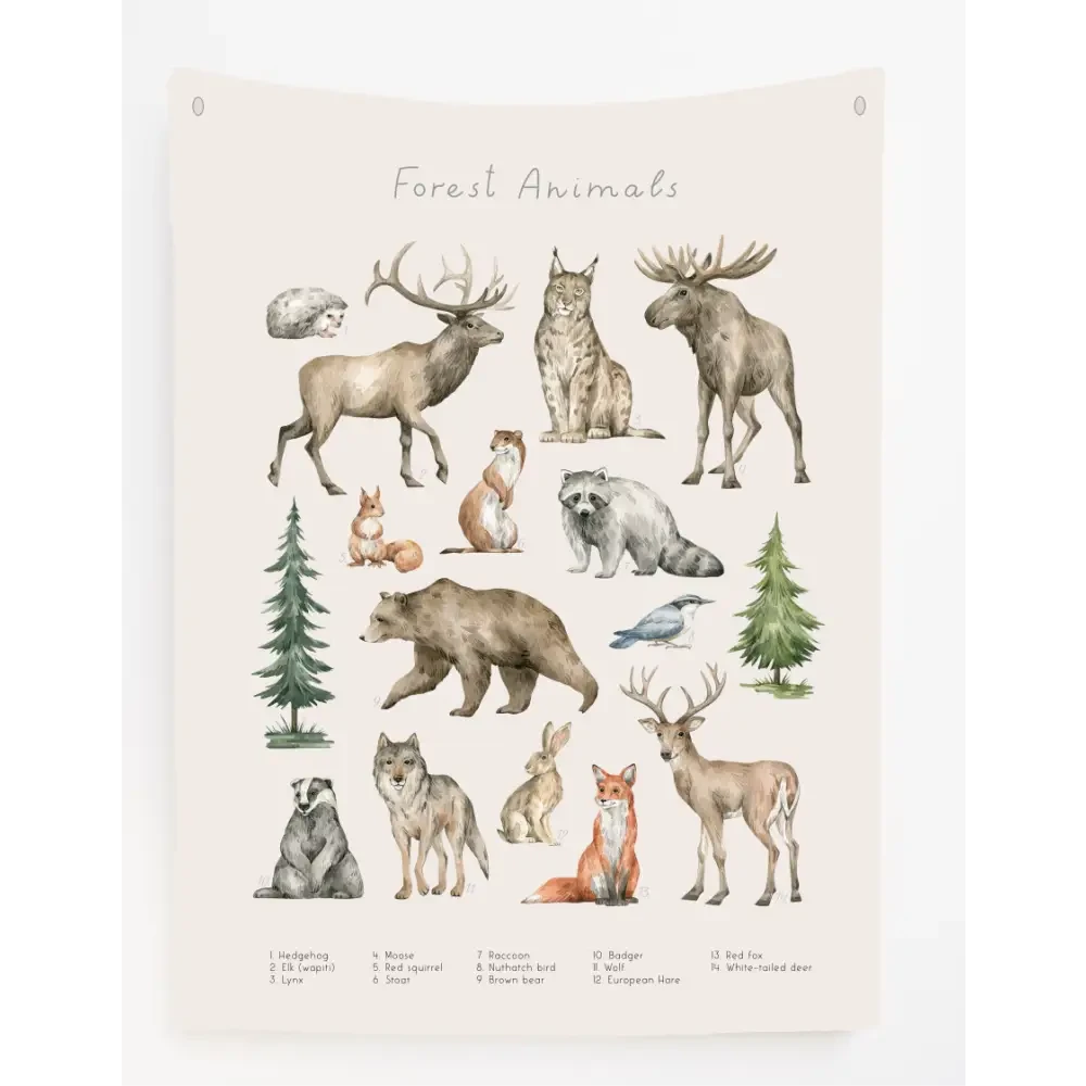 Forest Animals Canvas Wall Hang - Timber Tinkers