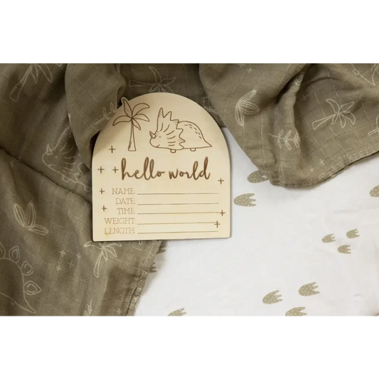 Hello World Dino Birth Disc - Timber Tinkers