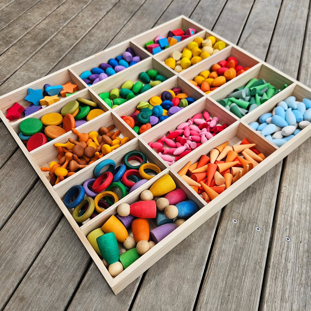 Loose Parts & Animal Figures Organizer Unit