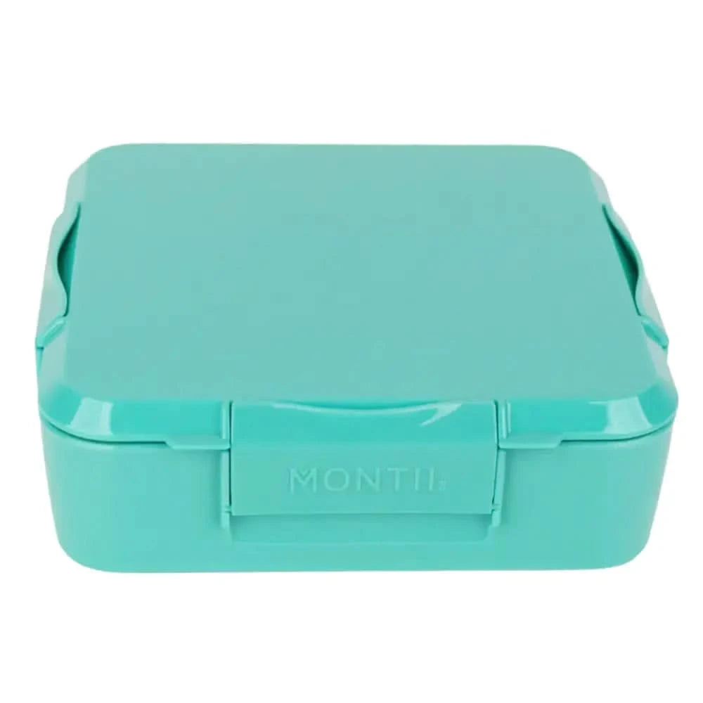 Personalised Mint Lunch Box - Stegosaurus - Timber Tinkers
