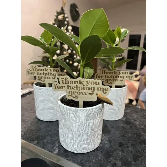 Thank you for helping me grow stick - Timber Tinkers