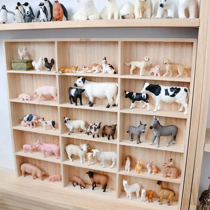 1:32 Collection Display & Storage Unit