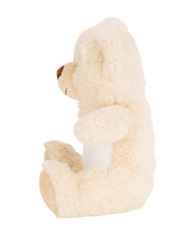 Teddy Bear Plush Toy - Heart