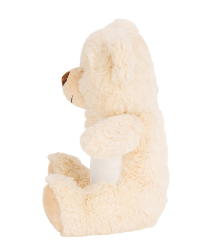 Teddy Bear Plush Toy - Heart