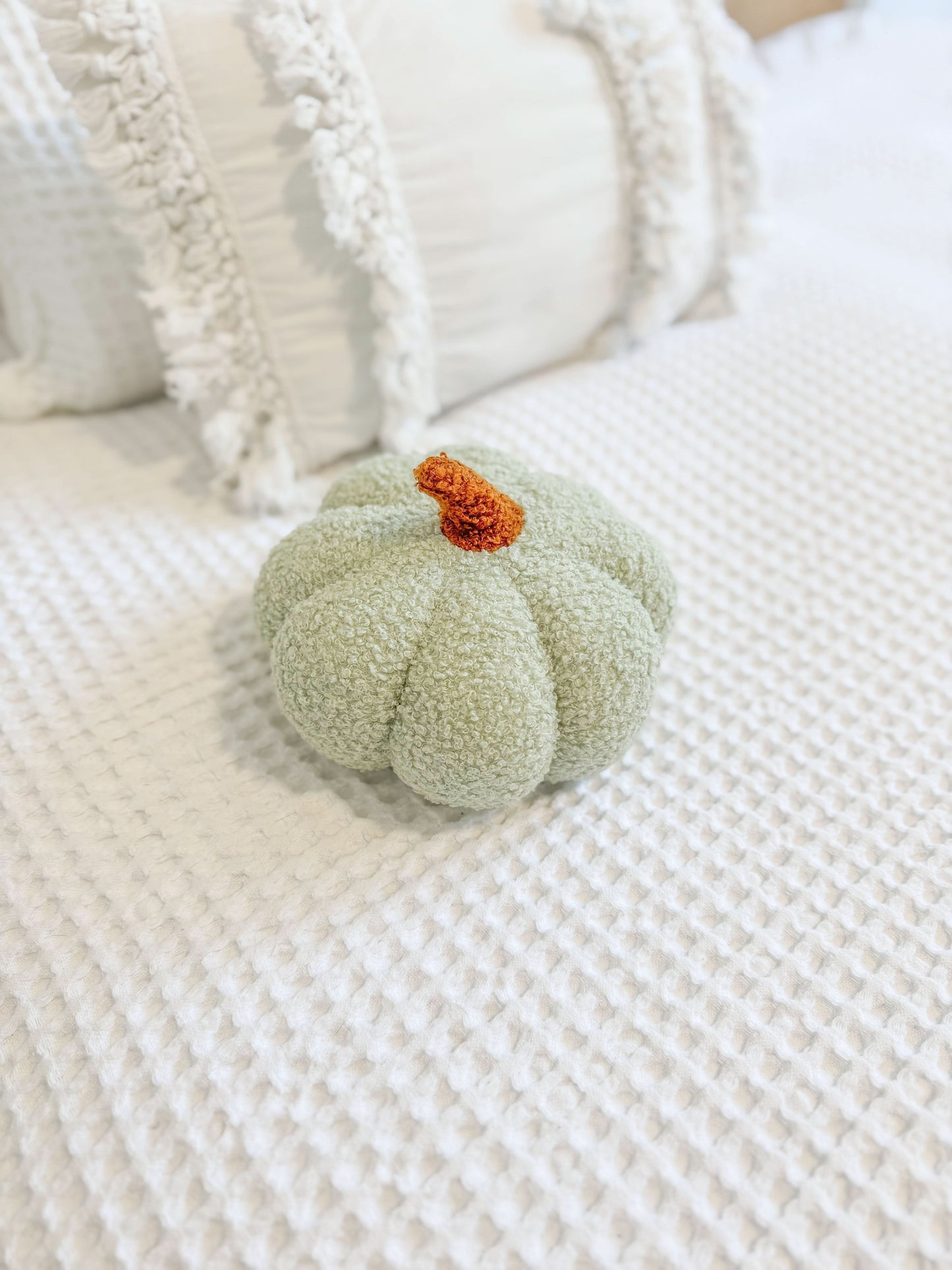 Small Pumpkin Cushion