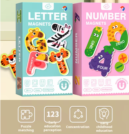 Magnetic Puzzles