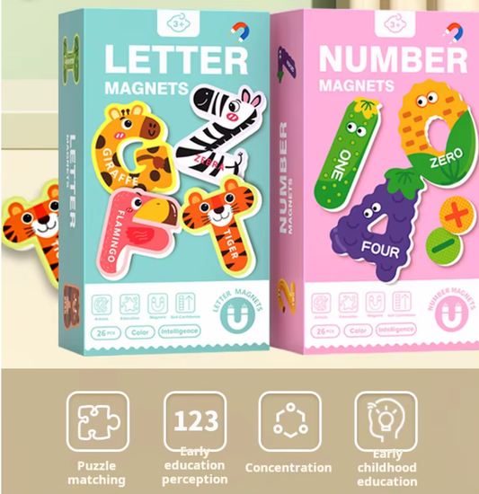 Magnetic Puzzles