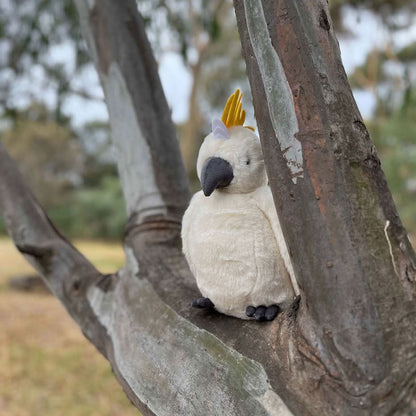 Cockatoo - Timber Tinkers