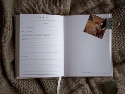 Bump Pregnancy Journal (oatmeal)