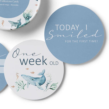 Ocean & Indigo Reversible Milestone Cards