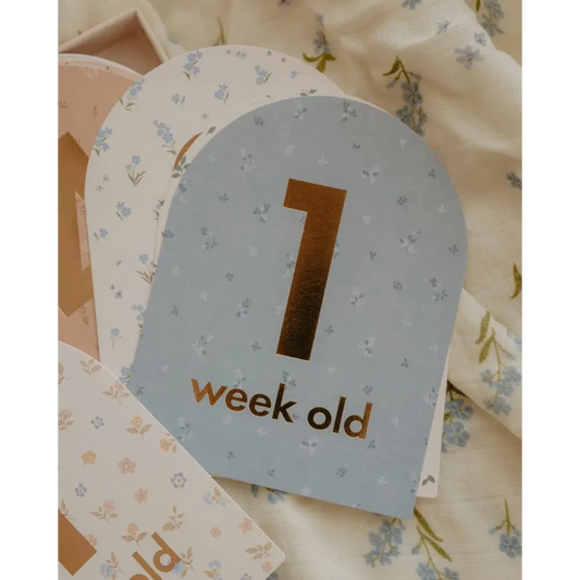 Baby Milestone Cards Broderie - Timber Tinkers