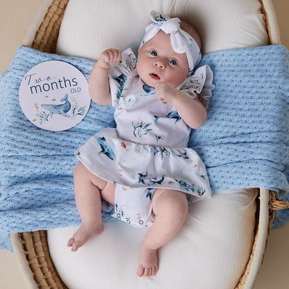 Ocean & Indigo Reversible Milestone Cards