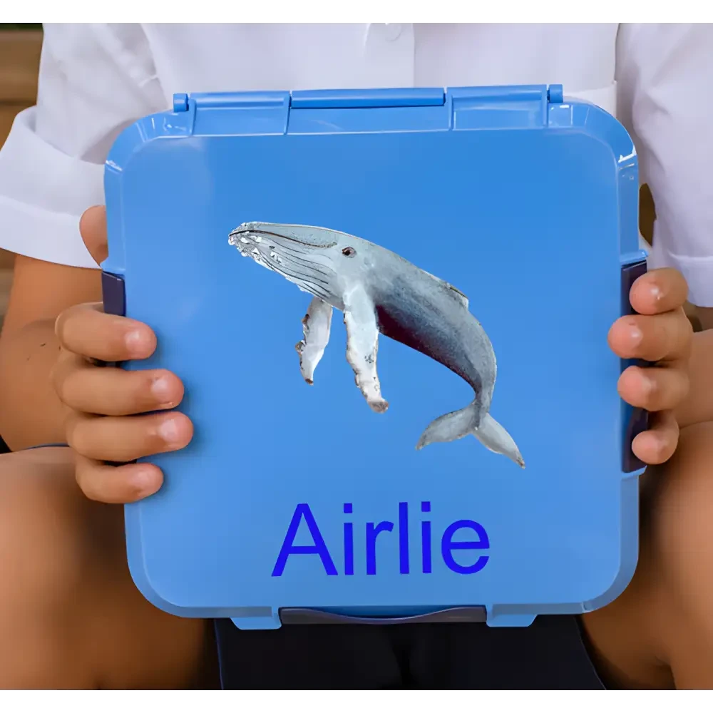 Personalised Blue Lunch Box - Whale - Timber Tinkers
