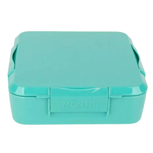 Personalised Mint Lunch Box - Stegosaurus - Timber Tinkers